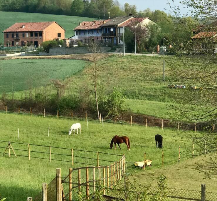 Appartamento In Cascina -La Cascinetta Di Ali- Roatto 外观 照片